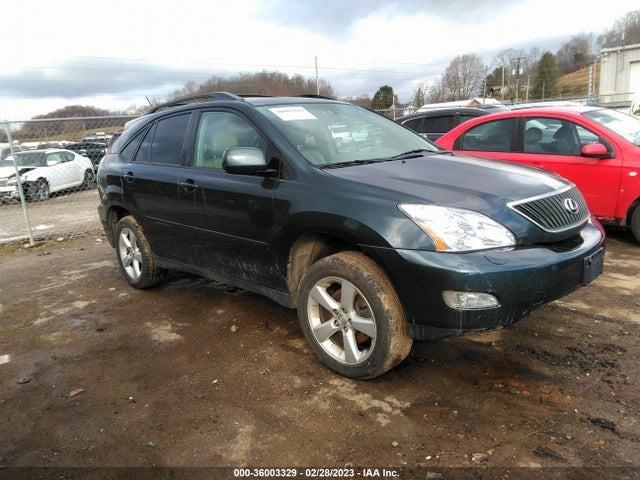 2004 LEXUS RX 330 VIN: 2T2HA31U44C016485
