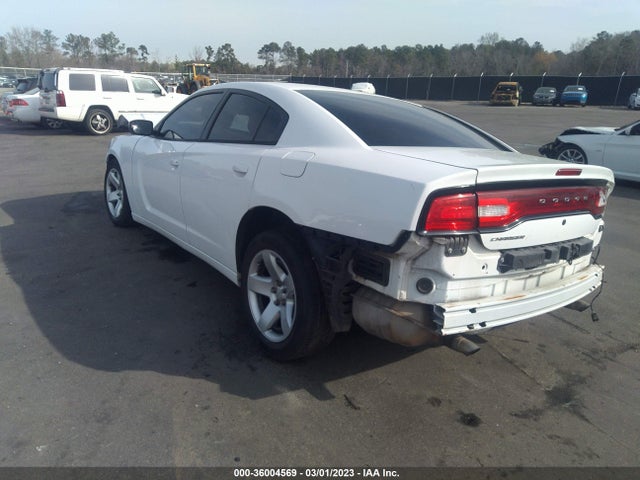 2014 DODGE CHARGER POLICE VIN: 2C3CDXAT1EH191115