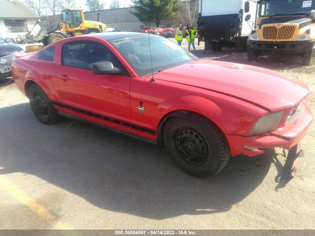 2009 FORD MUSTANG VIN: 1ZVHT80N895137981