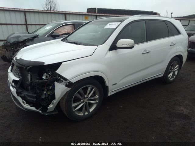 5XYKWDA71EG536225 KIA Sorento Sx Limited