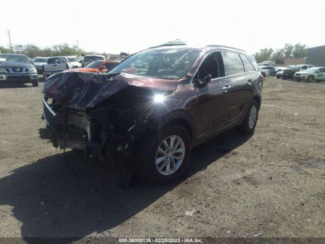 5XYPGDA55JG375163 KIA Sorento Lx V6