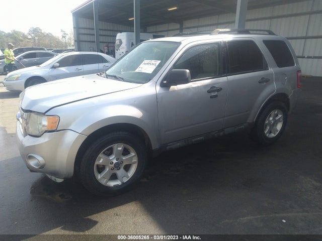 2011 FORD ESCAPE XLT VIN: 1FMCU0D78BKA04082