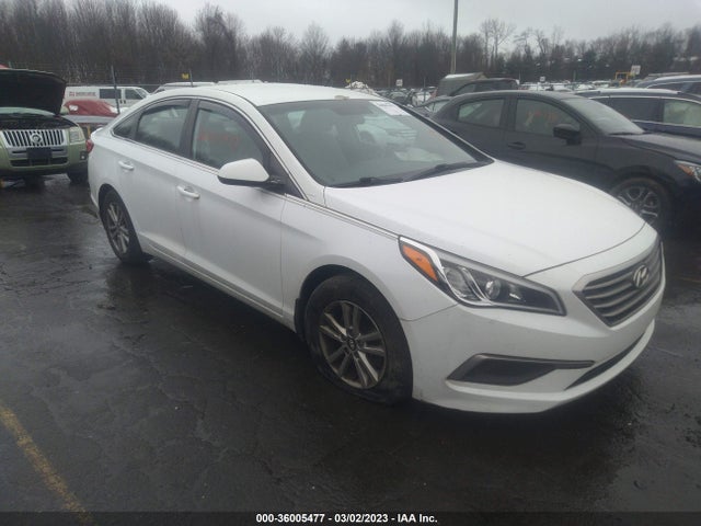 2017 Hyundai Sonata, VIN: 5NPE24AF6HH542325