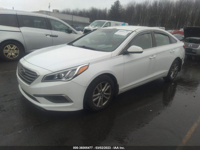 2017 Hyundai Sonata, VIN: 5NPE24AF6HH542325