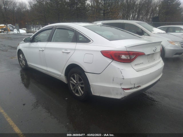 2017 Hyundai Sonata, VIN: 5NPE24AF6HH542325