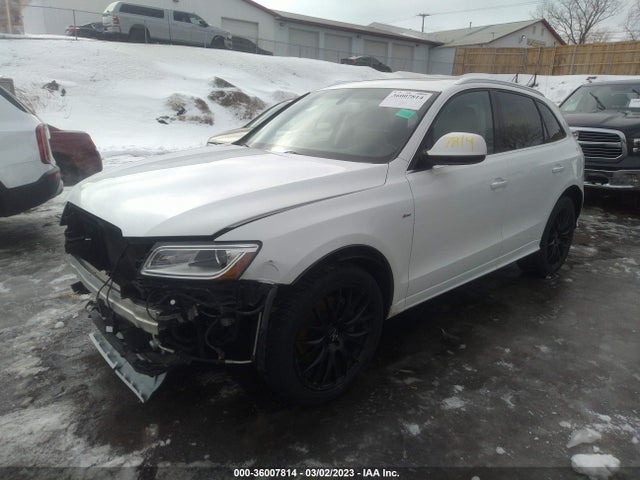 WA1D7AFP3HA066503 Audi Q5 Premium Plus