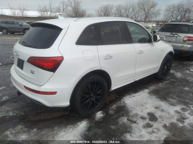 WA1D7AFP3HA066503 Audi Q5 Premium Plus