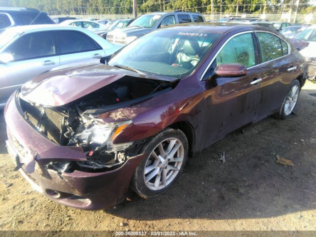1N4AA5AP8EC458990 Nissan MAXIMA 3.5