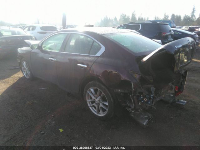 1N4AA5AP8EC458990 Nissan MAXIMA 3.5
