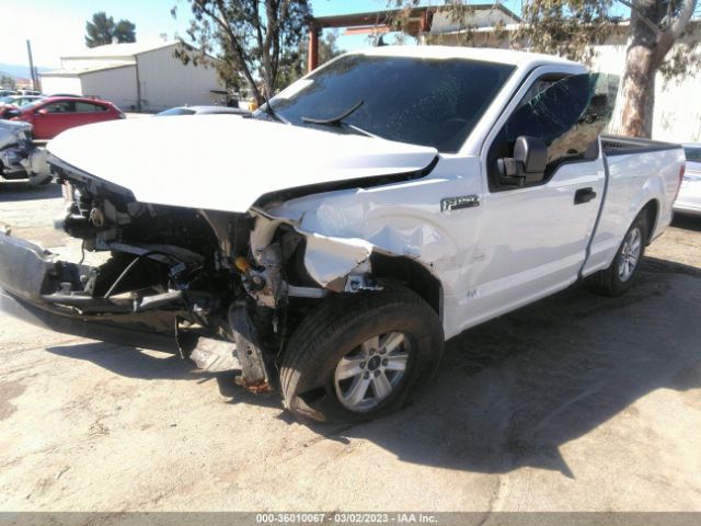 1FTMF1CB0LFA19507 Ford F-150 Xl/xlt
