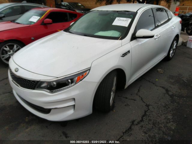 5XXGU4L3XHG151003 KIA OPTIMA EX