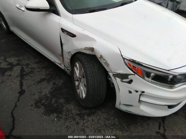 5XXGU4L3XHG151003 KIA OPTIMA EX