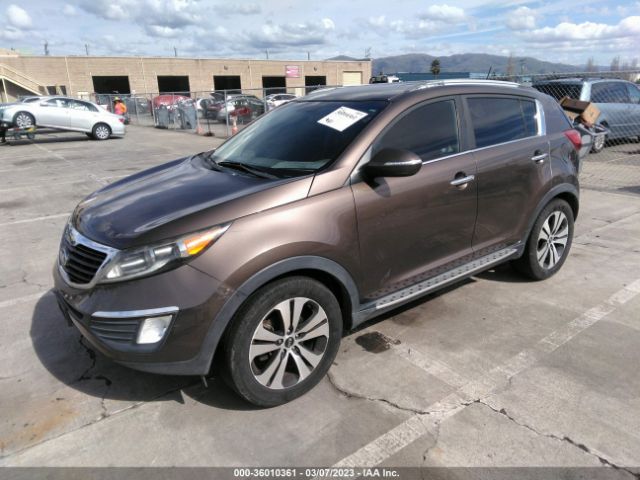 2013 KIA SPORTAGE KNDPC3A27D7506509 Photo 1
