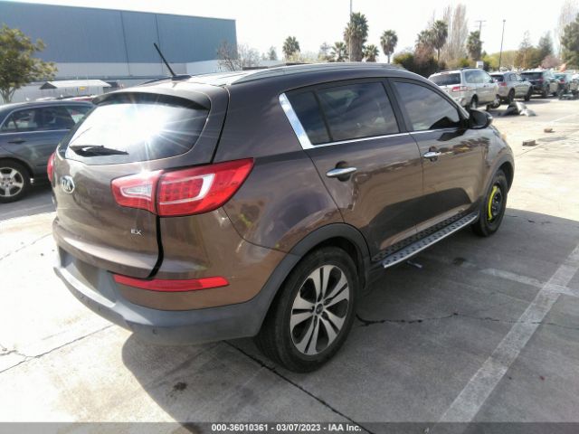 2013 KIA SPORTAGE KNDPC3A27D7506509 Photo 3