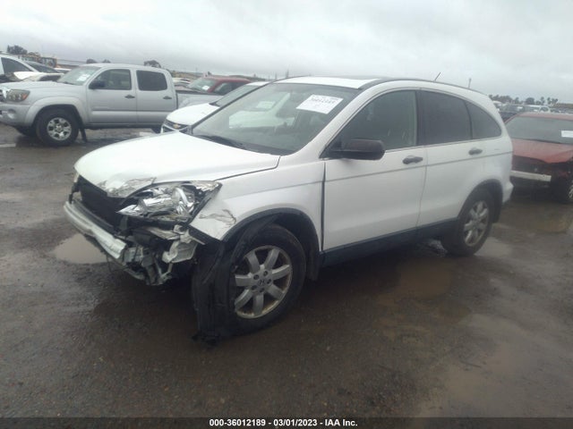 Honda CR-V EX 2007 JHLRE38587C005033 Image 2