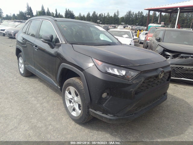 Toyota Rav4 Xle 2019 2T3P1RFV1KW039181 Image 1