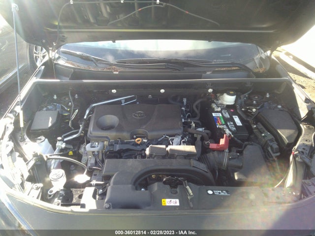Toyota Rav4 Xle 2019 2T3P1RFV1KW039181 Image 11