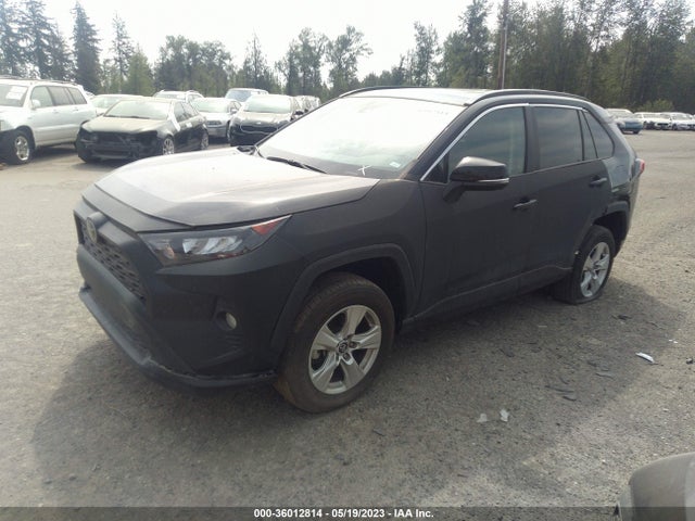 Toyota Rav4 Xle 2019 2T3P1RFV1KW039181 Image 2