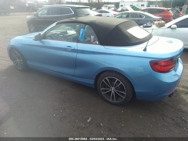 2020 BMW 2 Series, VIN: WBA2K1C08L7E39690