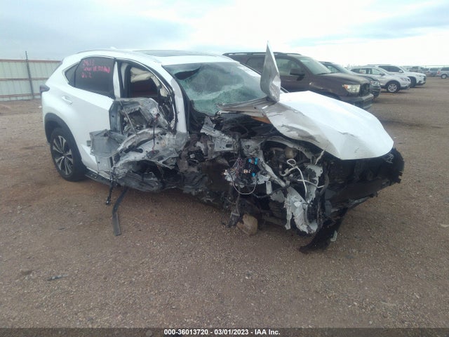 2019 Lexus NX, VIN: JTJBARBZ1K2210892
