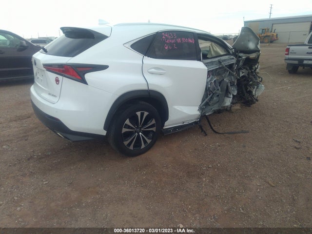 2019 Lexus NX, VIN: JTJBARBZ1K2210892