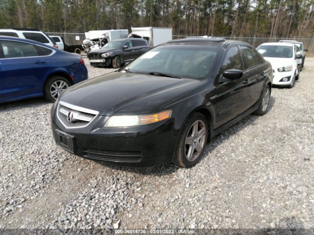19UUA66255A027305 Acura TL