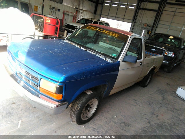 Dodge DAKOTA 1987 1B7FN14M6HS503109 Image 2