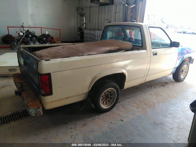 Dodge DAKOTA 1987 1B7FN14M6HS503109 Image 5