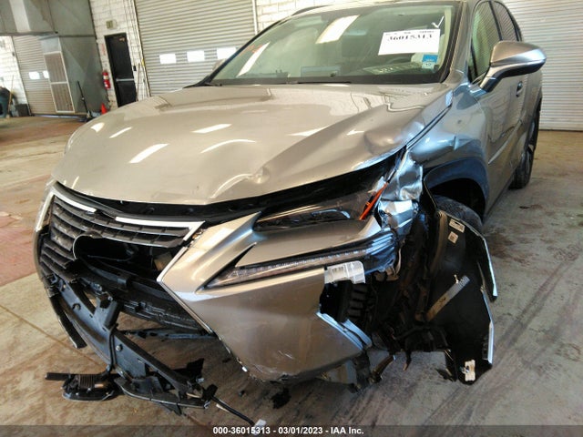 2021 Lexus NX, VIN: JTJGJRDZ7M2166760