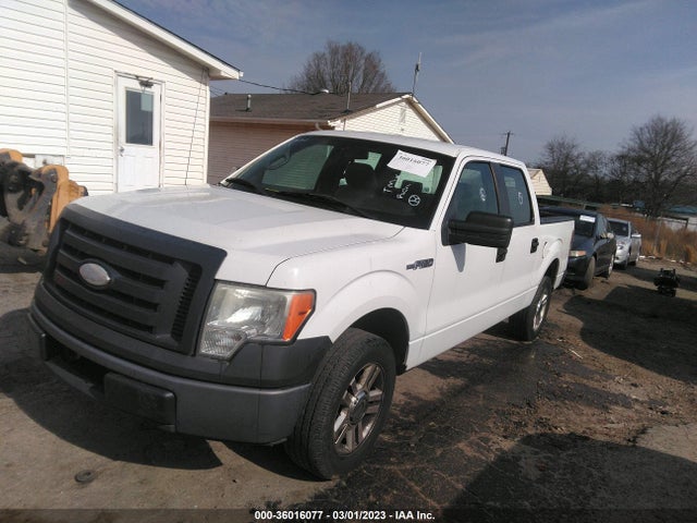 2009 FORD F-150 XL/XLT VIN: 1FTRW12849FA80282