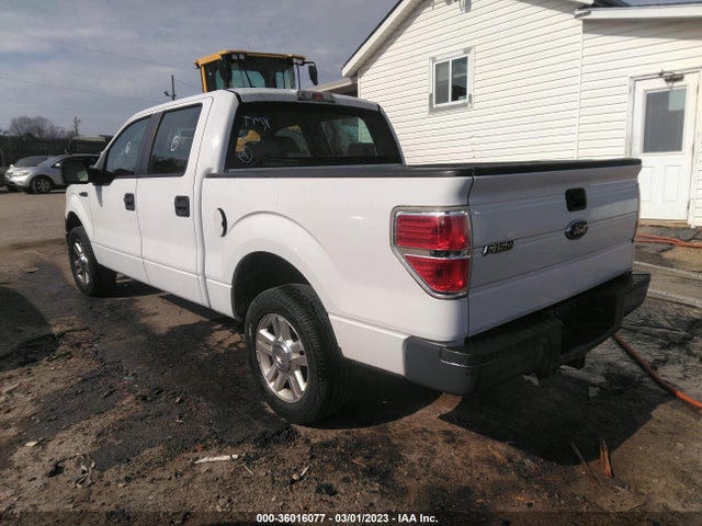 2009 FORD F-150 XL/XLT VIN: 1FTRW12849FA80282
