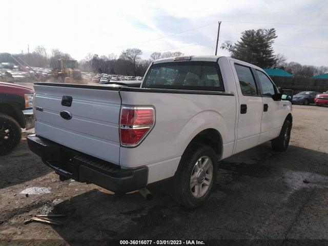 2009 FORD F-150 XL/XLT VIN: 1FTRW12849FA80282