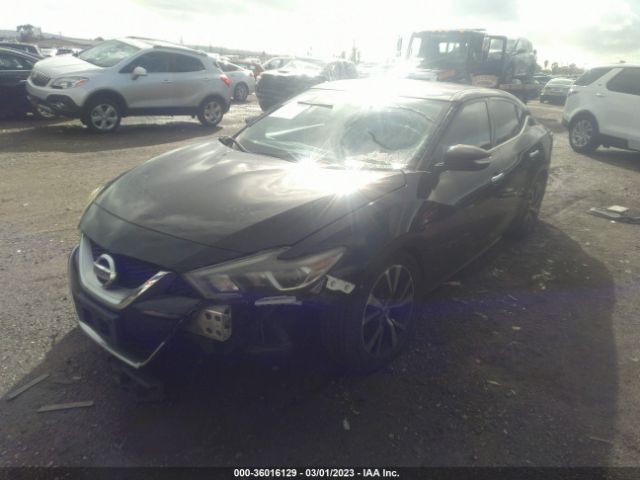 1N4AA6APXGC428625 Nissan Maxima 3.5 Sv