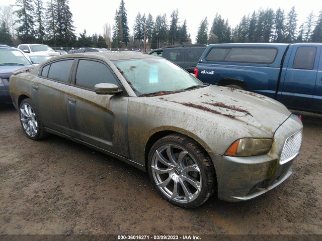 2012 DODGE CHARGER SXT PLUS VIN: 2C3CDXJG6CH306131