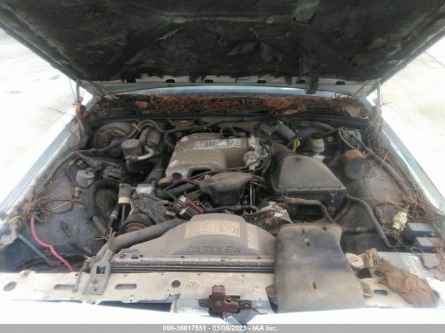 1989 FORD CROWN VICTORIA VIN: 2FABP73F8KX136609