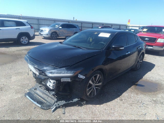 Aukcja sprzedaży 2019 Nissan Maxima Sv, vin: 1N4AA6AV8KC360171, numer aukcji: 36019473