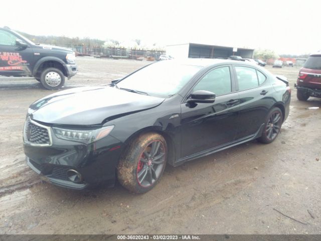 19UUB2F69KA001293 Acura Tlx W/a-spec Pkg