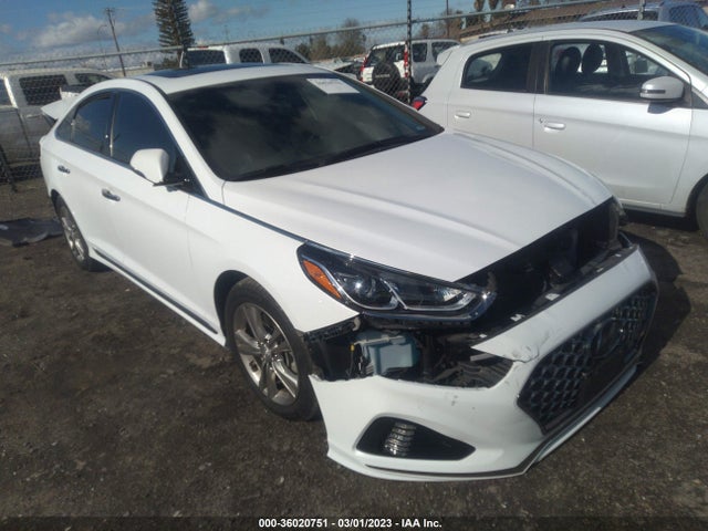 Hyundai Sonata Sport 2019 5NPE34AF4KH808090 main image