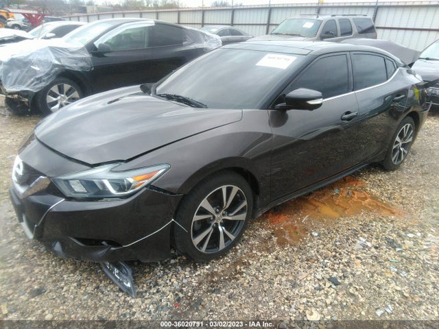 Nissan Maxima 3.5 Platinum 2016 1N4AA6AP6GC390441 Image 2