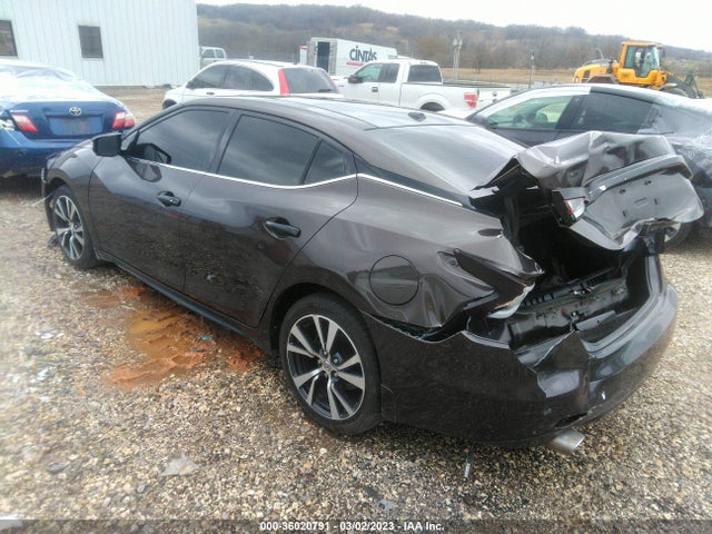 Nissan Maxima 3.5 Platinum 2016 1N4AA6AP6GC390441 Image 3