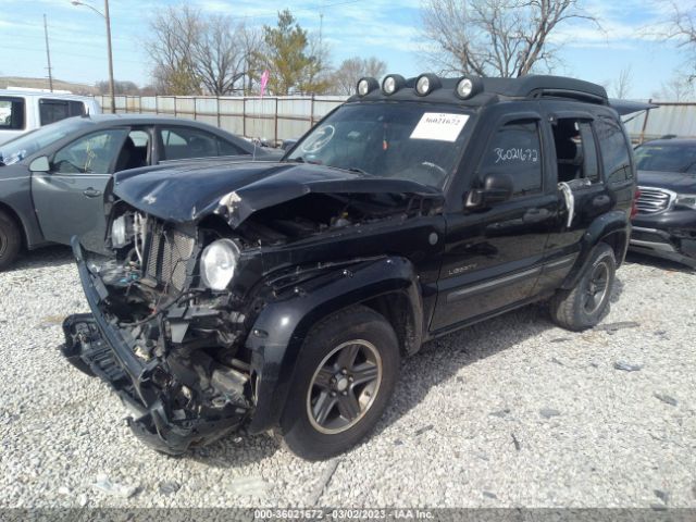 1J4GL38K64W274006 Jeep Liberty Renegade