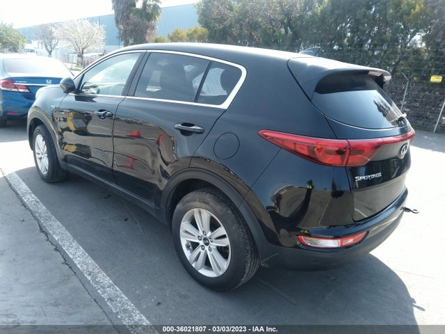 2017 KIA SPORTAGE LX VIN: KNDPMCAC5H7142828
