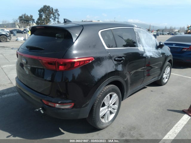 2017 KIA SPORTAGE LX VIN: KNDPMCAC5H7142828