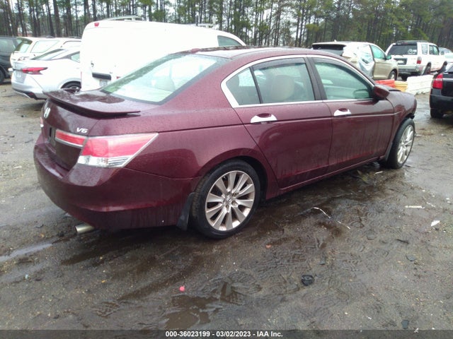 2011 HONDA ACCORD SDN EX-L VIN: 1HGCP3F87BA021756