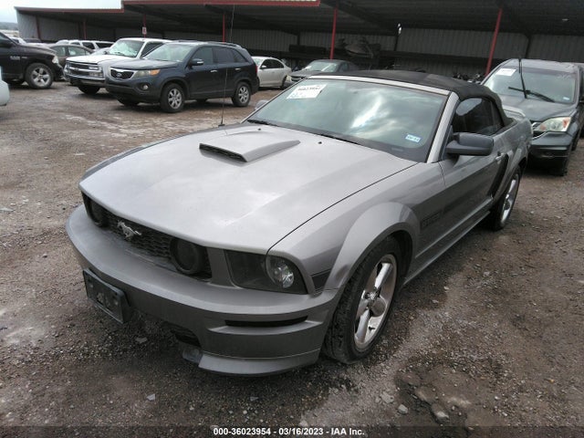 2009 FORD MUSTANG GT VIN: 1ZVHT85H095117050
