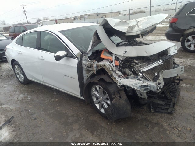2020 1G1ZD5ST7LF103863 main image