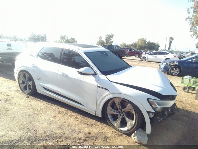 2019 Audi e-tron, VIN: WA1LAAGE0KB024575