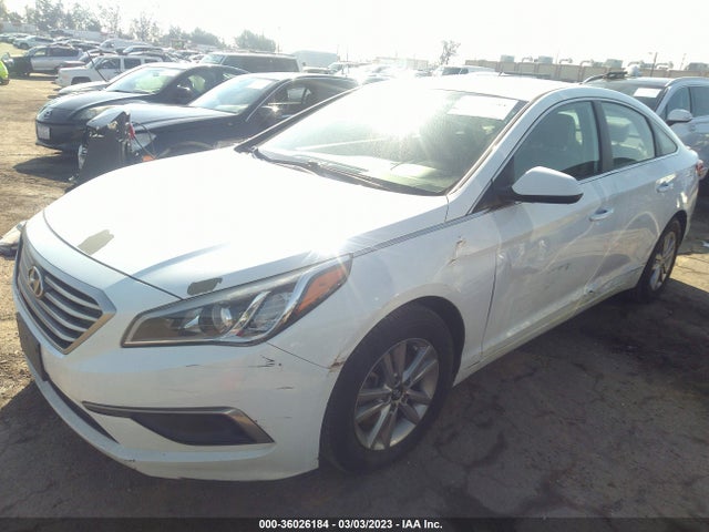 Hyundai Sonata 2.4l Se 2016 5NPE24AF3GH403459 Image 2