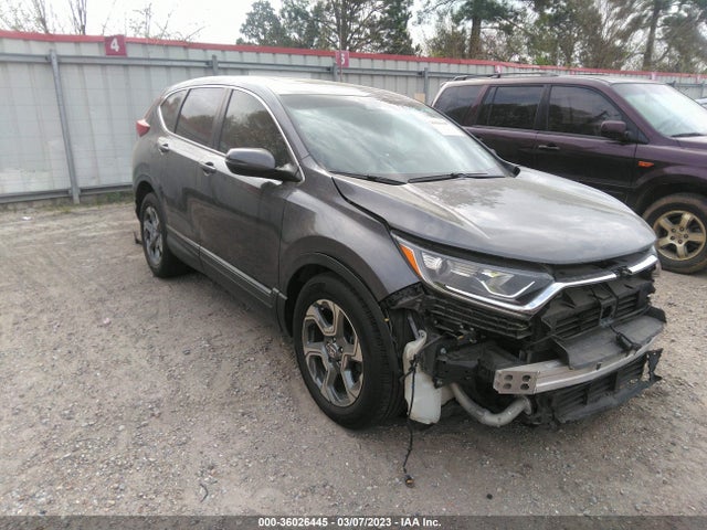 2019 5J6RW1H83KA045382 main image