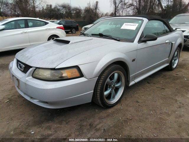 2002 FORD MUSTANG GT VIN: 1FAFP45X02F144480